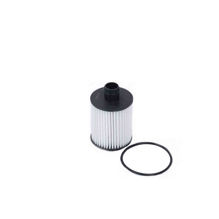 FL0264.JPG Filtro Olio Opel Zafira Tourer C (p12) Fl0264 650017 Cartuccia Filtro Bremsi