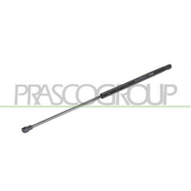 FT1229055_1.JPG Molla A Gas Destra O Sinistra Portellone Posteriore Per Fiat Panda Dal 2003 Al 2011