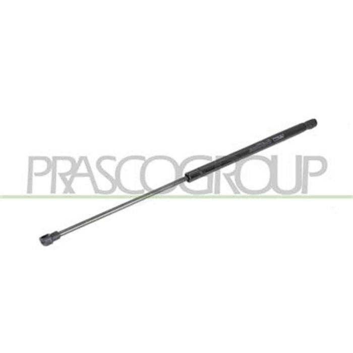 FT1229055_1.JPG Molla A Gas Destra O Sinistra Portellone Posteriore Per Fiat Panda Dal 2003 Al 2011
