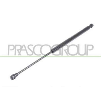 FT1249065_1.JPG Molla A Gas Destra O Sinistra Portellone Posteriore Per Fiat Panda Dal 2012