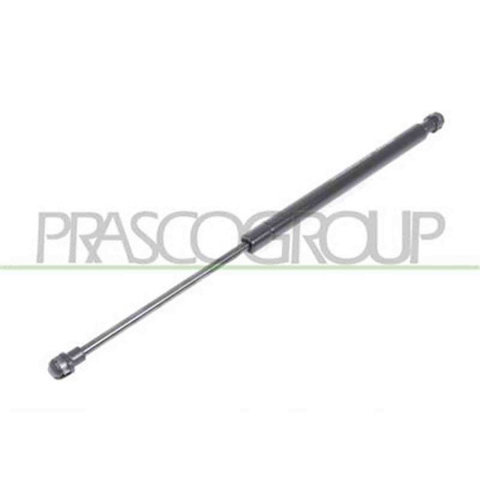 FT1249065_1.JPG Molla A Gas Destra O Sinistra Portellone Posteriore Per Fiat Panda Dal 2012