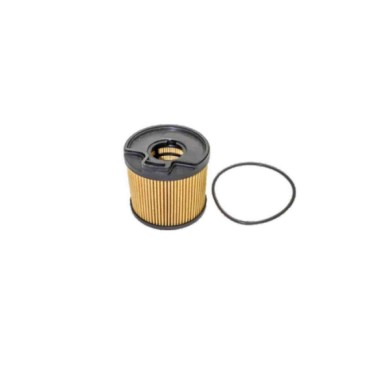 FE0335.JPG Filtro Carburante Citroen Xsara Picasso (n68) Fe0335 190159 Cartuccia Filtro Bremsi