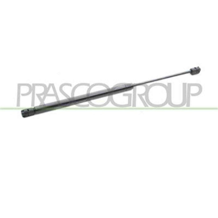 FT3409055_1.JPG Molla A Gas Destra O Sinistra Portellone Posteriore Per Fiat Punto Dal 1999 Al 2003