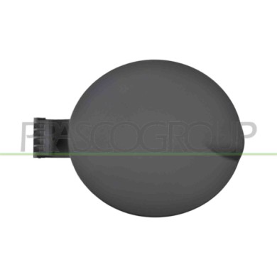 NEUTRO.jpg Sportello Serbatoio Con Primer Fiat 500 Dal 2007 Al 2015 51785379