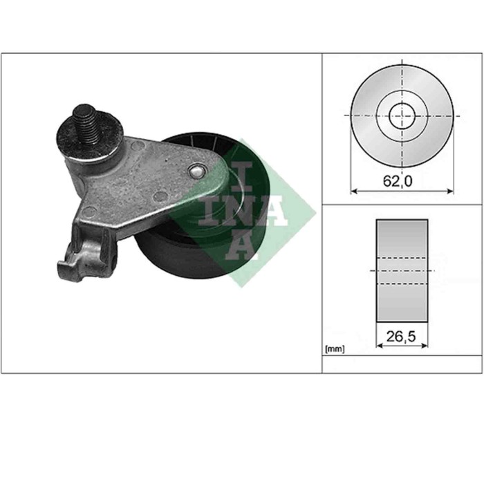 531017110_1.JPG Rullo tenditore Cinghia dentata 531 0171 10 SCHAEFFLER INA per FORD MAZDA