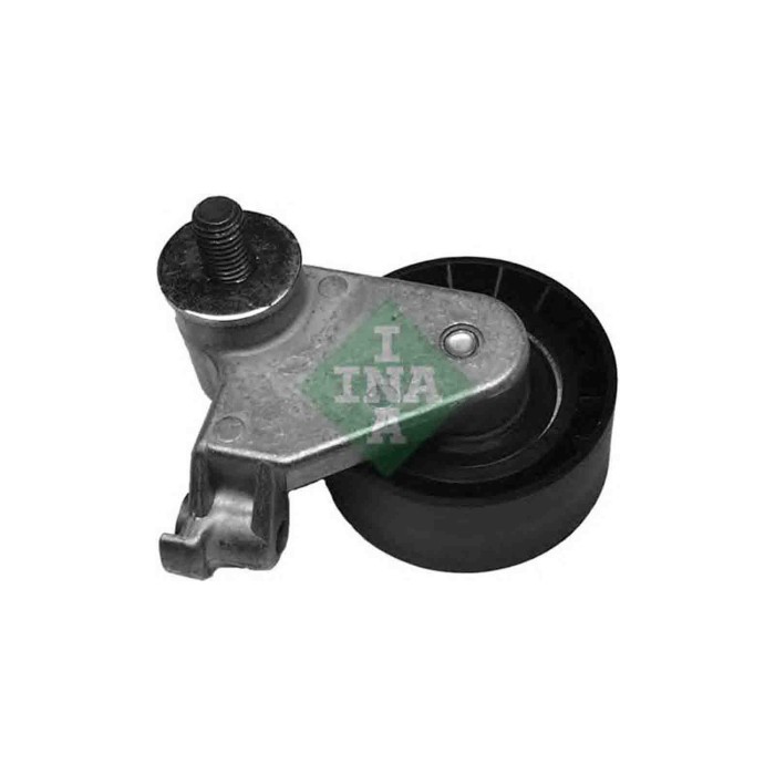 531017110_2.JPG Rullo tenditore Cinghia dentata 531 0171 10 SCHAEFFLER INA per FORD MAZDA