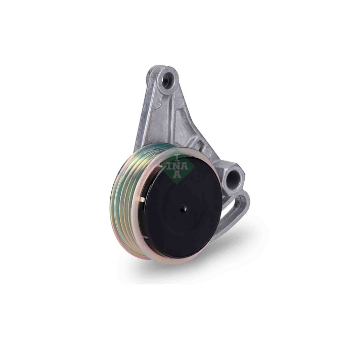 531030910_3.JPG Rullo tenditore Cinghia Poly-V 531 0309 10 SCHAEFFLER INA per AUDI VW SKODA