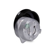531054110_1.JPG Rullo tenditore Cinghia Poly-V 531 0541 10 SCHAEFFLER INA per FORD
