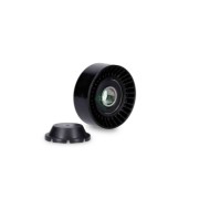 NEUTRO.jpg Rullo tenditore Cinghia Poly-V 531 0760 10 SCHAEFFLER INA per FIAT JEEP VOLVO