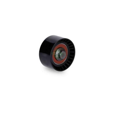 NEUTRO.jpg Galoppino/Guidacinghia Cinghia dentata 532 0120 10 SCHAEFFLER INA per FIAT