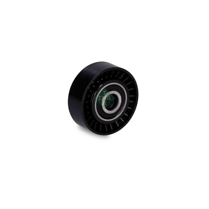 532054910_3.JPG Galoppino/Guidacinghia Cinghia Poly-V 532 0549 10 SCHAEFFLER INA