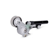 533008130_3.JPG Tendicinghia Cinghia Poly-V 533 0081 30 SCHAEFFLER INA per AUDI VW SEAT SKODA