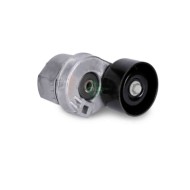 NEUTRO.jpg Tendicinghia Cinghia Poly-V 534 0031 10 SCHAEFFLER INA per FORD