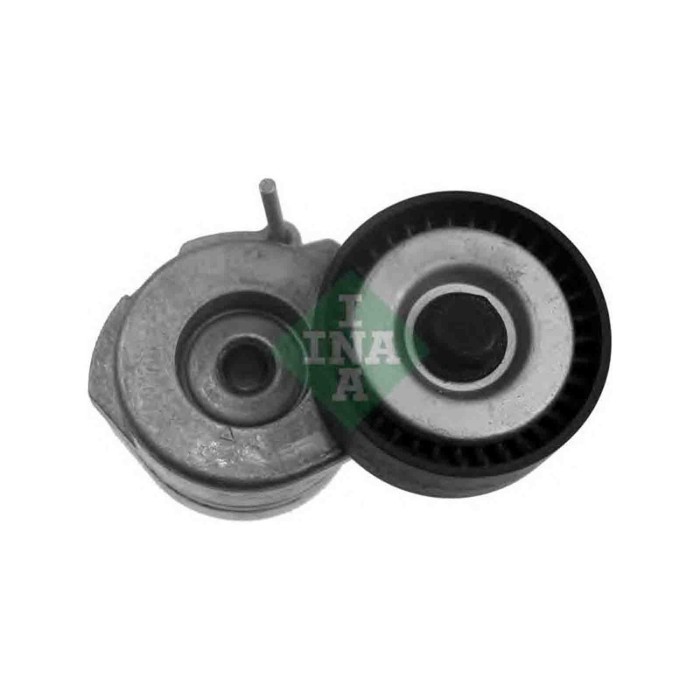 534005310_2.JPG Tendicinghia Cinghia Poly-V 534 0053 10 SCHAEFFLER INA per OPEL FIAT CHEVROLET