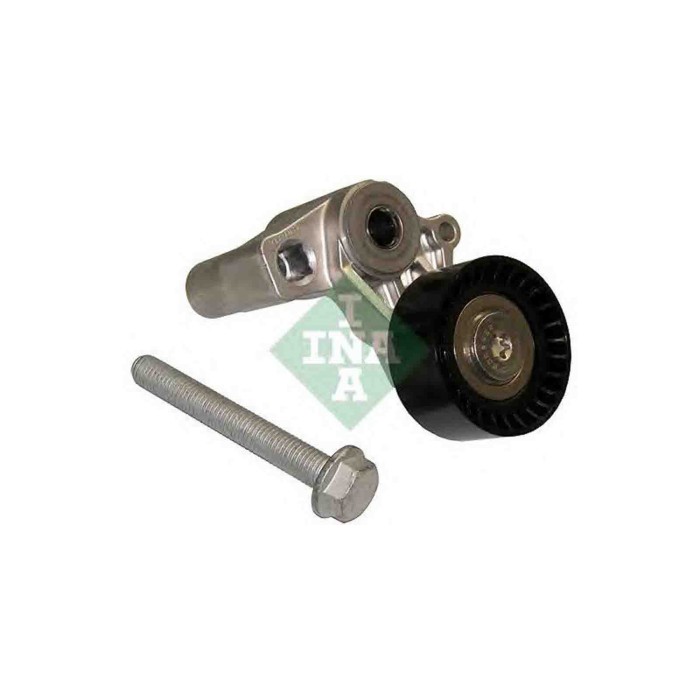 534010020_2.JPG Tendicinghia Cinghia Poly-V 534 0100 20 SCHAEFFLER INA per PEUGEOT Citroen FIAT