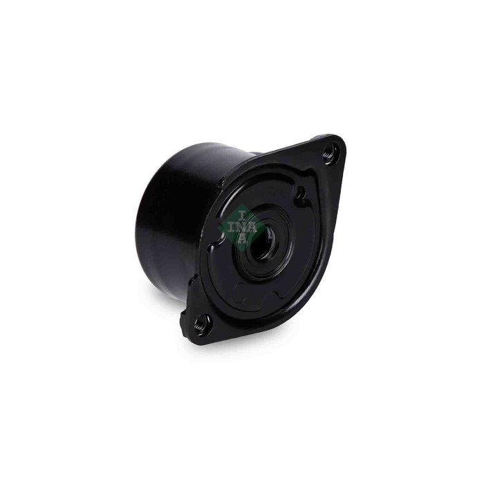 NEUTRO.jpg Tendicinghia Cinghia Poly-V 534 0170 10 SCHAEFFLER INA per BMW