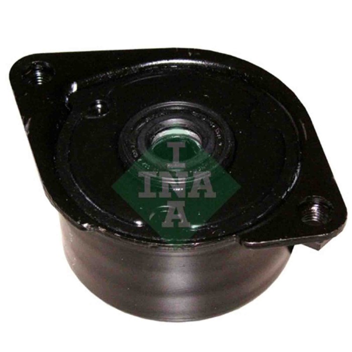 534017110_2.JPG Tendicinghia Cinghia Poly-V 534 0171 10 SCHAEFFLER INA per BMW LAND ROVER