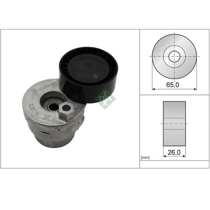 534026910_1.JPG Tendicinghia Cinghia Poly-V 534 0269 10 SCHAEFFLER INA per RENAULT NISSAN DACIA