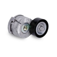 NEUTRO.jpg Tendicinghia Cinghia Poly-V 534 0403 10 SCHAEFFLER INA per FORD