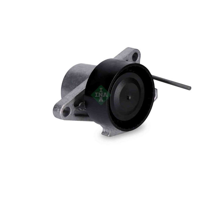 NEUTRO.jpg Tendicinghia Cinghia Poly-V 534 0624 10 SCHAEFFLER INA per RENAULT OPEL FIAT