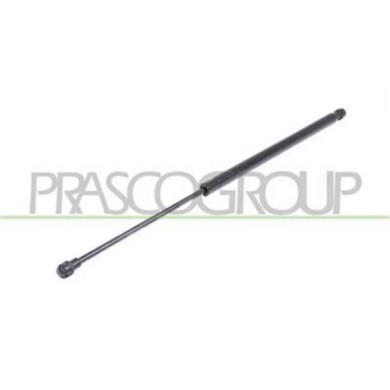 DS7109055_1.JPG Molla A Gas Destra O Sinistra Portellone Posteriore Per Nissan Qashqai (j10) Dal 2006 Al 2010