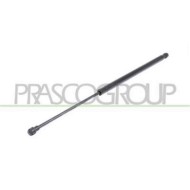 DS7109055_1.JPG Molla A Gas Destra O Sinistra Portellone Posteriore Per Nissan Qashqai (j10) Dal 2006 Al 2010