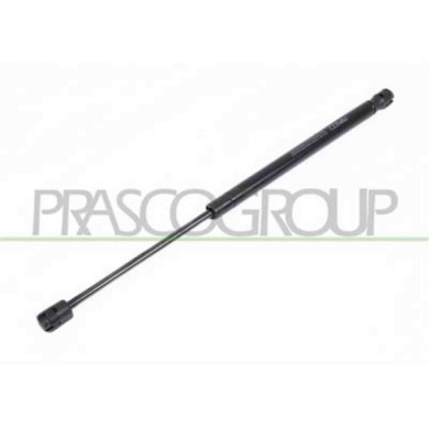 RN4209055_1.JPG Molla A Gas Destra O Sinistra Portellone Posteriore Per Renault Megane Dal 2002 Al 2005