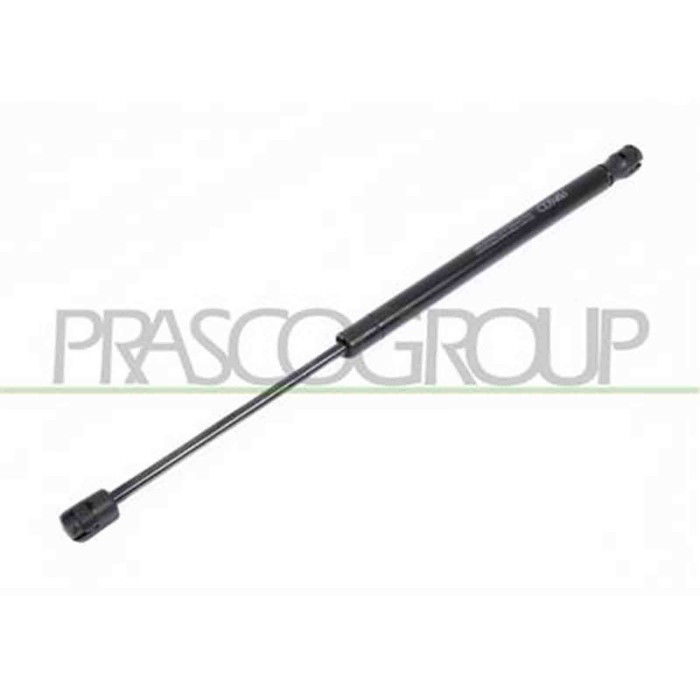 RN4209055_1.JPG Molla A Gas Destra O Sinistra Portellone Posteriore Per Renault Megane Dal 2002 Al 2005