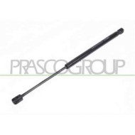 Molla A Gas Destra O Sinistra Portellone Posteriore Per Renault Megane Dal 2002 Al 2005
