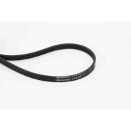 Cinghia Poly-V 4PK800 CONTINENTAL CTAM per CITROÃ N TOYOTA OPEL FIAT HONDA SUZUKI