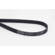 NEUTRO.jpg Cinghia Poly-V 5PK1230 CONTINENTAL CTAM per PEUGEOT CITROÃ N OPEL