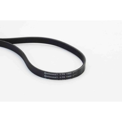 NEUTRO.jpg Cinghia Poly-V 5PK1960 CONTINENTAL CTAM per MERCEDES-BENZ