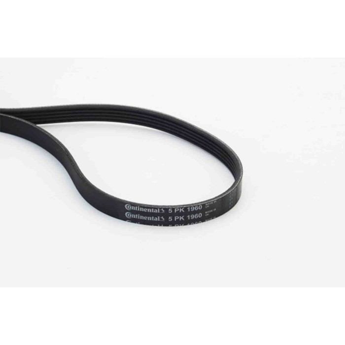 NEUTRO.jpg Cinghia Poly-V 5PK1960 CONTINENTAL CTAM per MERCEDES-BENZ