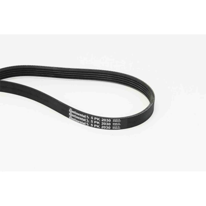 NEUTRO.jpg Cinghia Poly-V 5PK2030 CONTINENTAL CTAM per BMW LAND ROVER ROVER MG