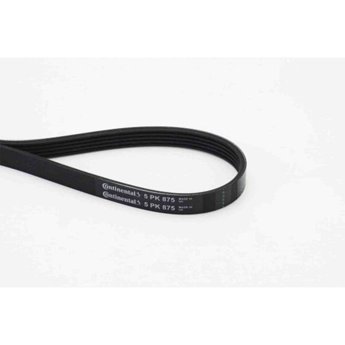 NEUTRO.jpg Cinghia Poly-V 5PK875 CONTINENTAL CTAM per RENAULT FORD HONDA ALFA ROMEO ROVER