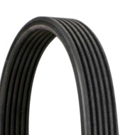 Cinghia Poly-V 6DPK1195 CONTINENTAL CTAM per AUDI VW FORD SEAT SKODA