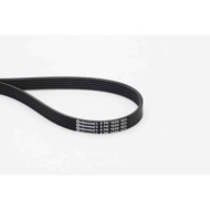 NEUTRO.jpg Cinghia Poly-V 6PK1050 CONTINENTAL CTAM per PEUGEOT CITROEN AUDI VW TOYOTA OPEL