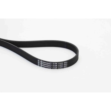 NEUTRO.jpg Cinghia Poly-V 6PK1120 CONTINENTAL CTAM per AUDI VW FORD TOYOTA SEAT HYUNDAI KIA