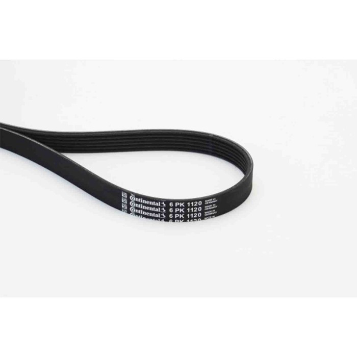 NEUTRO.jpg Cinghia Poly-V 6PK1120 CONTINENTAL CTAM per AUDI VW FORD TOYOTA SEAT HYUNDAI KIA