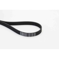 Cinghia Poly-V 6PK1120 CONTINENTAL CTAM per AUDI VW FORD TOYOTA SEAT HYUNDAI KIA