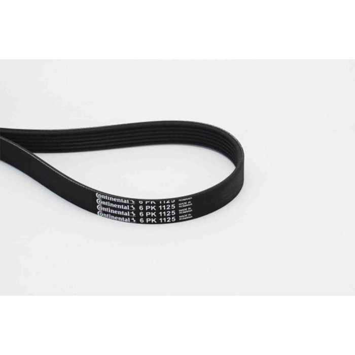 NEUTRO.jpg Cinghia Poly-V 6PK1125 CONTINENTAL CTAM per RENAULT PEUGEOT CITROÃ N AUDI VW SEAT