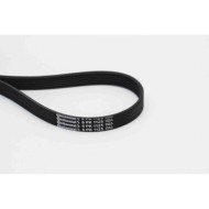 Cinghia Poly-V 6PK1125 CONTINENTAL CTAM per RENAULT PEUGEOT CITROEN AUDI VW SEAT