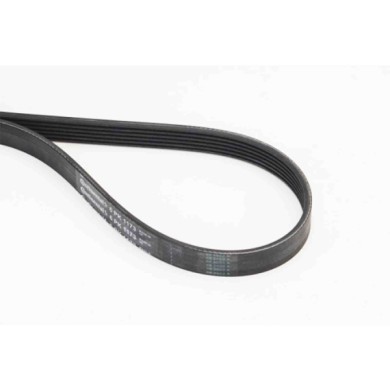 NEUTRO.jpg Cinghia Poly-V 6PK1173 CONTINENTAL CTAM per RENAULT PEUGEOT CITROÃ N BMW AUDI