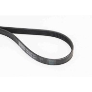 Cinghia Poly-V 6PK1173 CONTINENTAL CTAM per RENAULT PEUGEOT CITROÃ N BMW AUDI