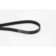 Cinghia Poly-V 6PK1180 CONTINENTAL CTAM per BMW VW FORD OPEL FIAT NISSAN HONDA