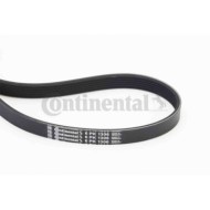 Cinghia Poly-V 6PK1306 CONTINENTAL CTAM per FORD NISSAN VOLVO MAZDA