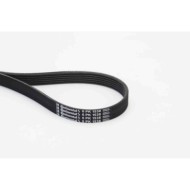 Cinghia Poly-V 6PK1538 CONTINENTAL CTAM per BMW VW FORD TOYOTA OPEL HYUNDAI
