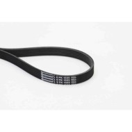 Cinghia Poly-V 6PK1555 CONTINENTAL CTAM per RENAULT BMW AUDI VW FORD OPEL VOLVO