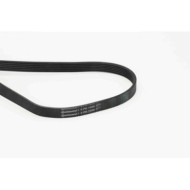 NEUTRO.jpg Cinghia Poly-V 6PK1590 CONTINENTAL CTAM per RENAULT PEUGEOT CITROEN AUDI VW FORD