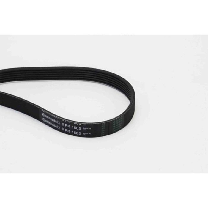 NEUTRO.jpg Cinghia Poly-V 6PK1605 CONTINENTAL CTAM per RENAULT PEUGEOT CITROÃ N BMW OPEL
